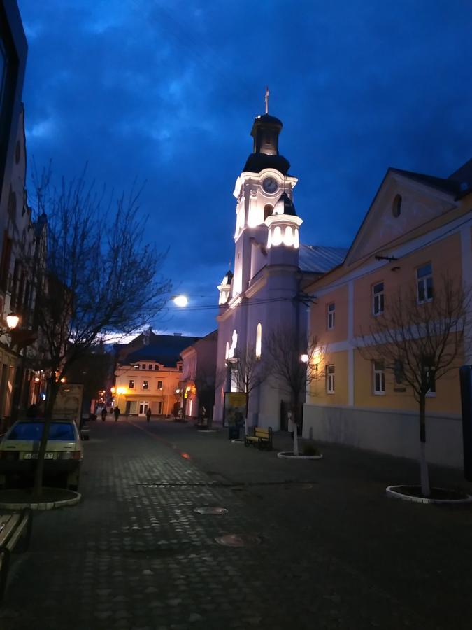 Кімнати В Центрі Uzhhorod Exterior foto